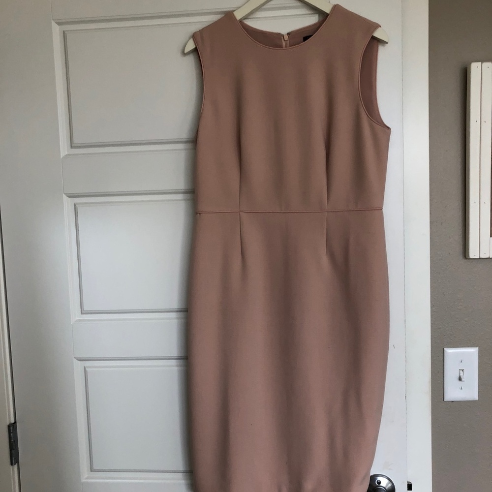 Light Pink/Nude Professional Dress